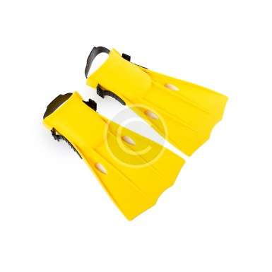 Yellow Scuba Fins